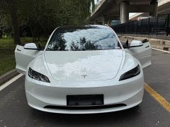 Tesla Model 3 rear-wheel drive version - фото 15
