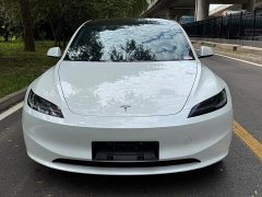 Tesla Model 3 rear-wheel drive version - фото 2