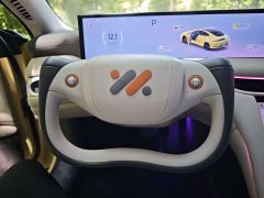 Li Auto Zhiji L6 Max Standard Edition - фото 16