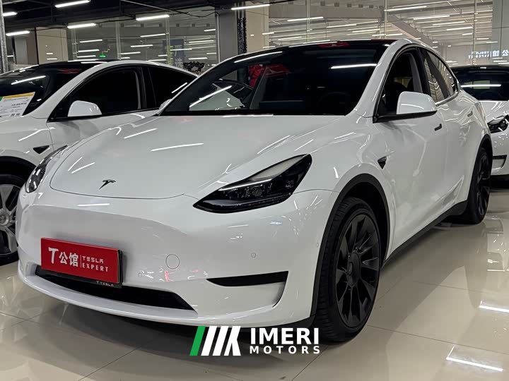 Tesla Model Y rear-wheel drive version - автомобиль из Китая