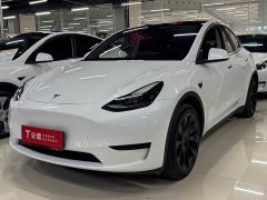 Tesla Model Y rear-wheel drive version - фото 1
