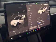 Tesla Model Y rear-wheel drive version - фото 12