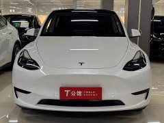 Tesla Model Y rear-wheel drive version - фото 2