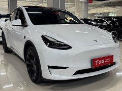 Tesla Model Y rear-wheel drive version - фото 3