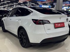 Tesla Model Y rear-wheel drive version - фото 7
