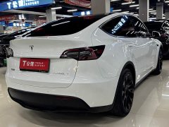 Tesla Model Y rear-wheel drive version - фото 9
