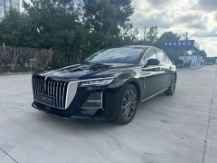 Hongqi H5 2.0T automatic flag collar Pro version - фото 1