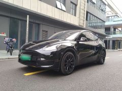 Tesla Model Y rear-wheel drive version - фото 1