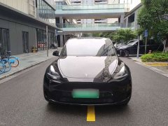 Tesla Model Y rear-wheel drive version - фото 2