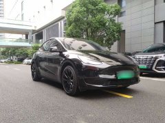 Tesla Model Y rear-wheel drive version - фото 3