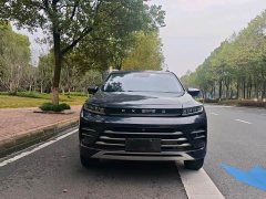 Lexus Xingtu Chasing the Wind and Waves Edition 1.5T CVT Chengfengqi Edition - фото 2