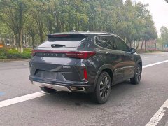 Lexus Xingtu Chasing the Wind and Waves Edition 1.5T CVT Chengfengqi Edition - фото 7