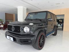 Mercedes-Benz G-Class G 350 - фото 3