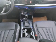 Volkswagen Passat 380TSI Starry Sky Dragon Edition - фото 16