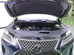 Lexus RX 2020 Facelift 300 AWD Elegant - фото 10