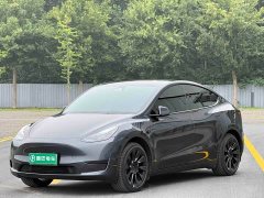 Tesla Model Y rear-wheel drive version - фото 1