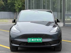 Tesla Model Y rear-wheel drive version - фото 2