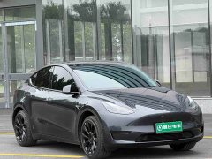 Tesla Model Y rear-wheel drive version - фото 3