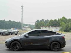 Tesla Model Y rear-wheel drive version - фото 5