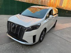 Buick GL8 ES Lu Zun Exclusive - фото 1
