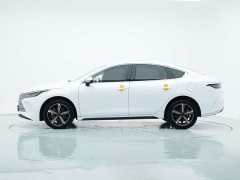 BYD Destroyer 05 Honor Edition DM-i 120KM Premium - фото 4