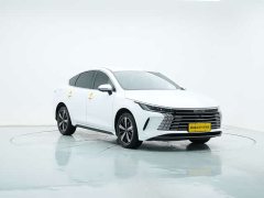 BYD Destroyer 05 Honor Edition DM-i 120KM Premium - фото 7