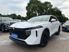 Lynk & Co Venucia V 2022 260T Dark Horse Edition King of Heaven - фото 1