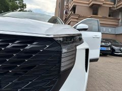 Lynk & Co Venucia V 2022 260T Dark Horse Edition King of Heaven - фото 10