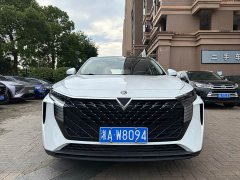 Lynk & Co Venucia V 2022 260T Dark Horse Edition King of Heaven - фото 2