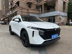 Lynk & Co Venucia V 2022 260T Dark Horse Edition King of Heaven - фото 3
