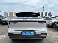 Lynk & Co Venucia V 2022 260T Dark Horse Edition King of Heaven - фото 6