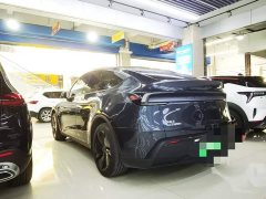Tesla Model Y rear-wheel drive version - фото 4
