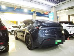 Tesla Model Y rear-wheel drive version - фото 5