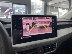 Lexus Tanyue 280TSI two-wheel drive luxury Plus advanced version - фото 13