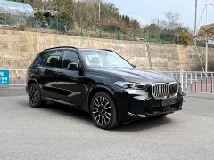 BMW X5 xDrive40Li M Sport Night Package - фото 3