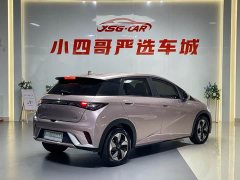 BYD Dolphin Honor Edition 420km Free Edition - фото 4