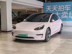 Tesla Model 3 standard range rear drive upgraded version 3D6 - фото 1