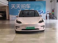 Tesla Model 3 standard range rear drive upgraded version 3D6 - фото 2
