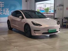 Tesla Model 3 standard range rear drive upgraded version 3D6 - фото 3