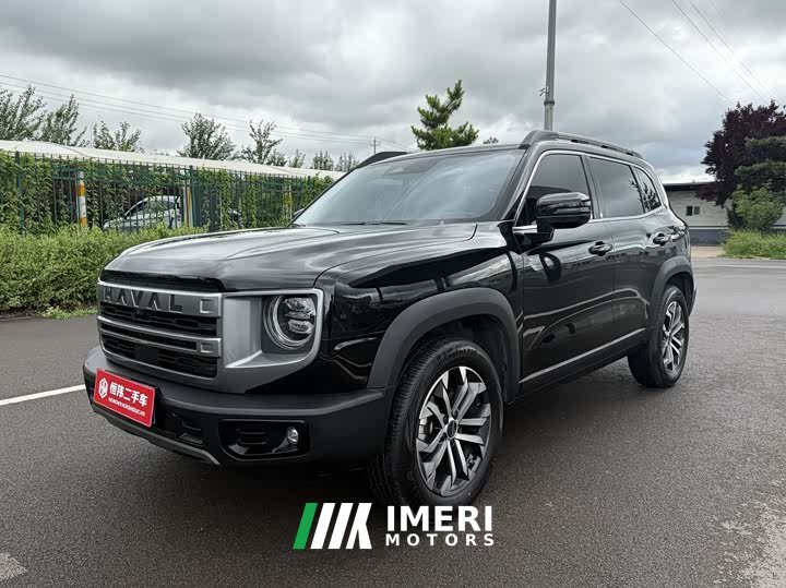 Haval Big Dog 2024 1.5T DCT Border Collie Edition - автомобиль из Китая