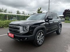 Haval Big Dog 2024 1.5T DCT Border Collie Edition - фото 1