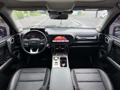 Haval Big Dog 2024 1.5T DCT Border Collie Edition - фото 16