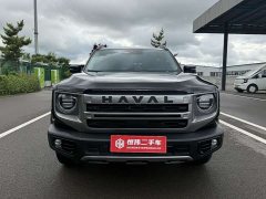 Haval Big Dog 2024 1.5T DCT Border Collie Edition - фото 2