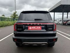 Haval Big Dog 2024 1.5T DCT Border Collie Edition - фото 5