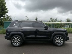 Haval Big Dog 2024 1.5T DCT Border Collie Edition - фото 8