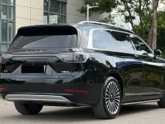 AITO Wenjie M9 extended range Max version 42kWh 6-seater version - фото 4