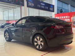 Tesla Model Y rear-wheel drive version - фото 6