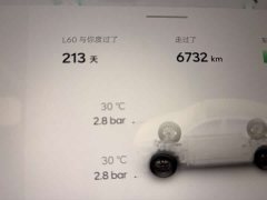 Li Auto Ledo L60 60kWh four-wheel drive version - фото 14