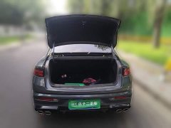 Geely Preface 2023 2.0TD "Only Green" Edition - фото 15