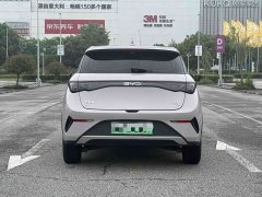 BYD Dolphin smart driving version 410km fashion version - фото 13